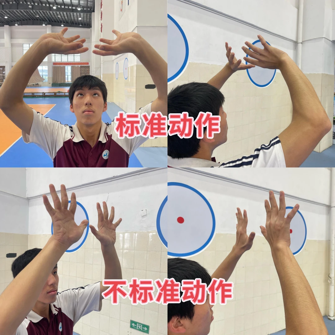 如何设计一份适合初学者的篮球爆发力训练方案?_1